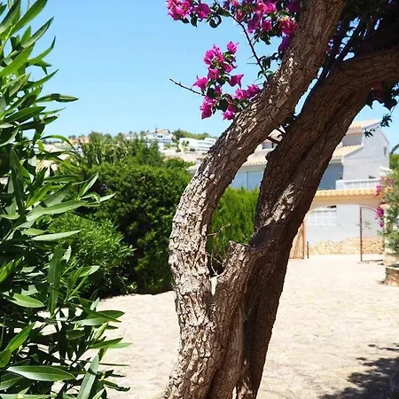 Villa Relax En Independiente Con Piscina De 11mx5
